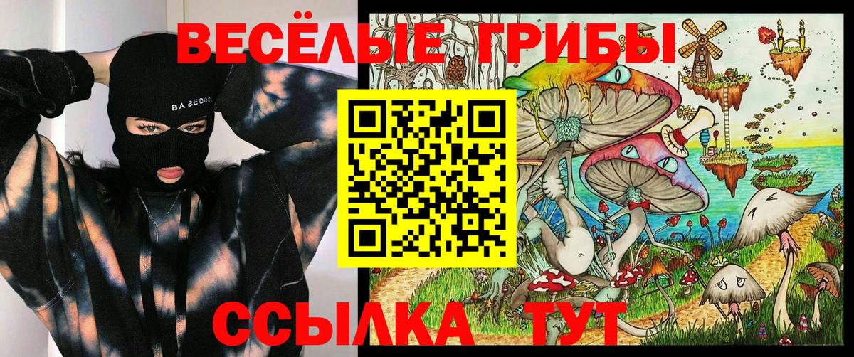 Галлюциногенные грибы Psilocybe  Вход с VPN  Псилоцибиновые грибы Magic Shrooms  Сосновый Бор 